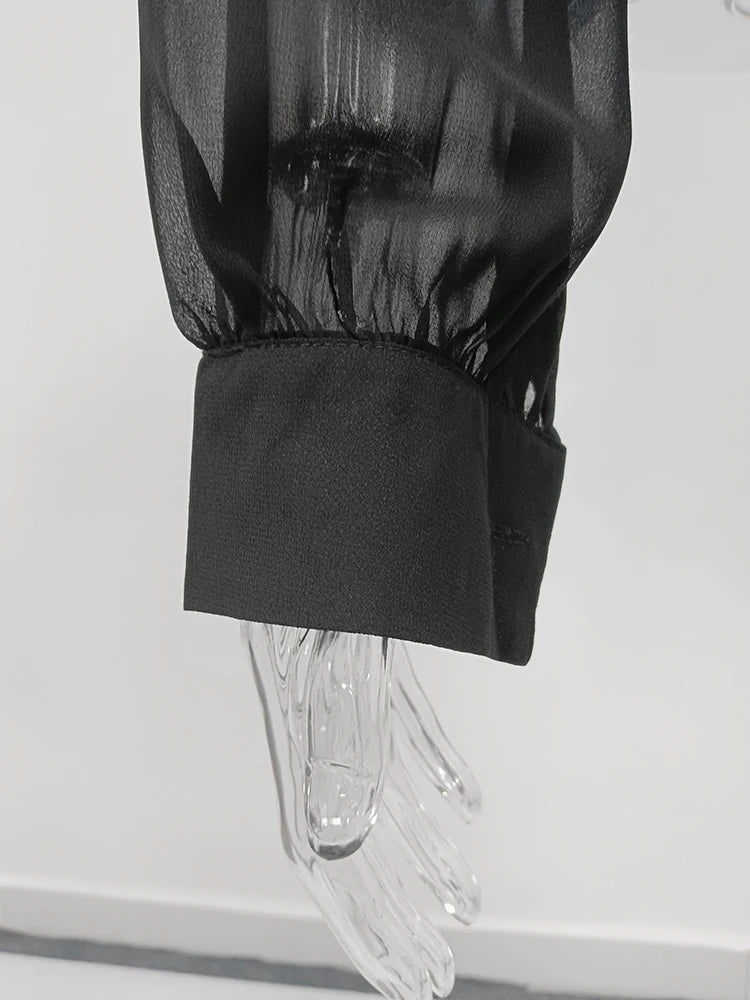 Solid Sheer Mesh Slimming Hooded Shirt | Tajstylo