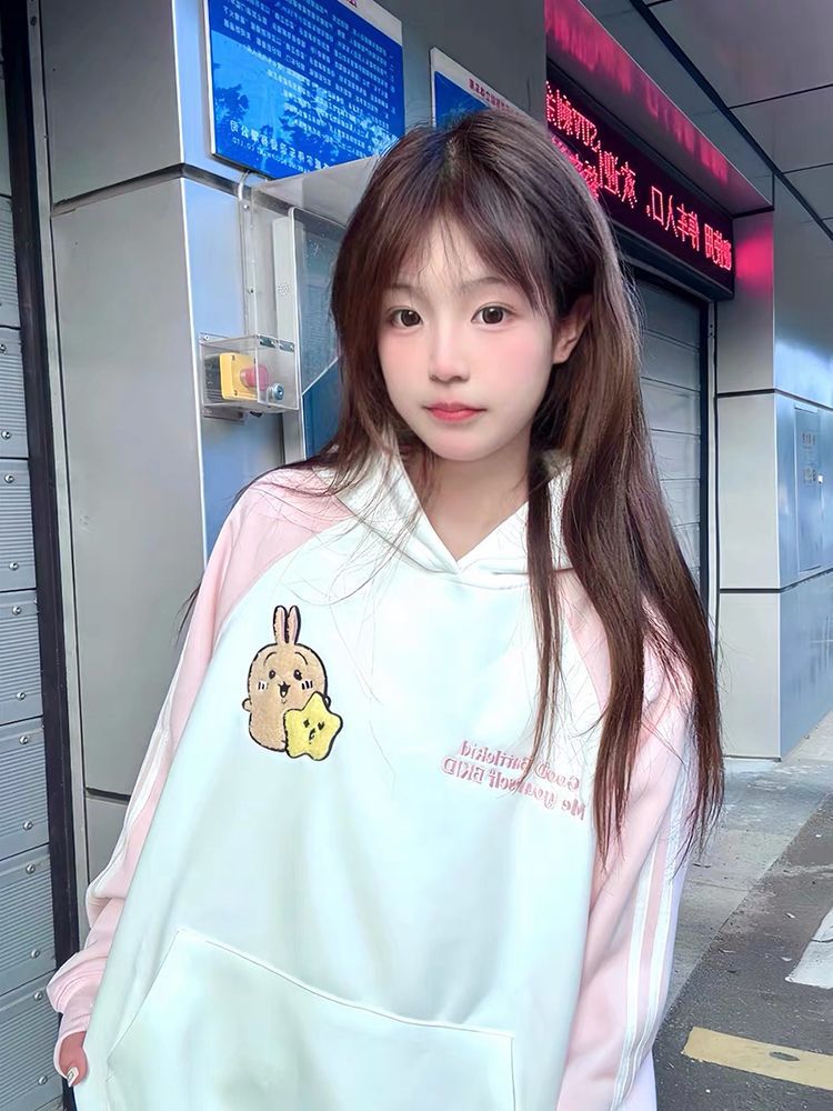 Street Style Embroidered Hoodie | Tajstylo