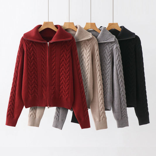 Collar Solid Color Jacket for Women | Tajstylo