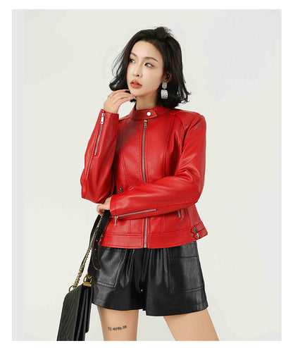 Standing Collar Short Jacket | Tajstylo