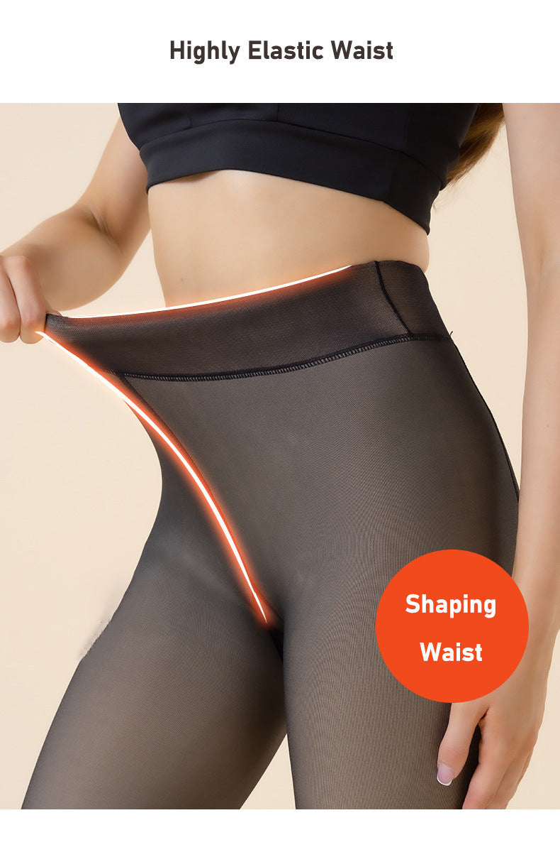 Transparent High Waist Leggings | Tajstylo